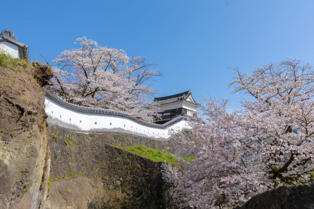 臼杵の四季 くらたび臼杵